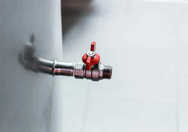 valves
