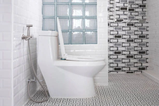 Bathroom Sanitary Wares