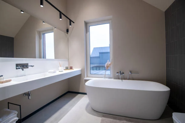 Ceramic Sanitary Ware