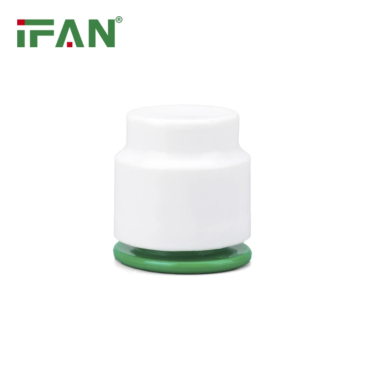 PPR fittings plug