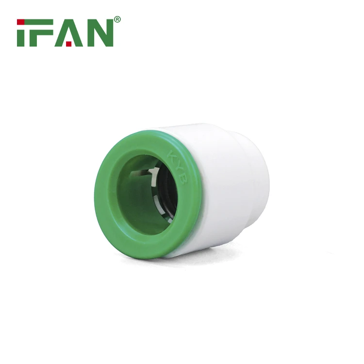 PPR fittings plug