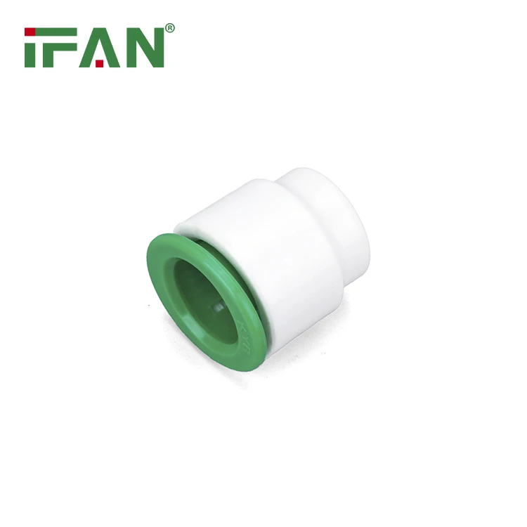 PPR fittings plug