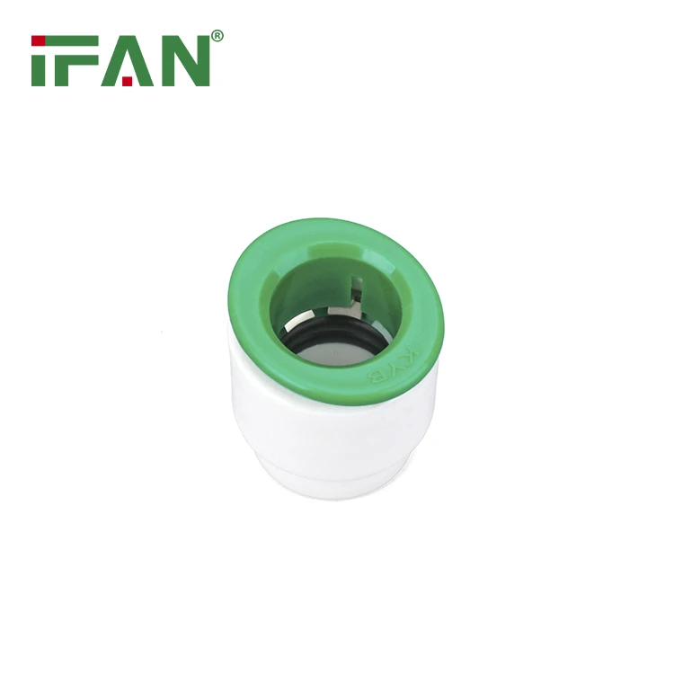 PPR fittings plug