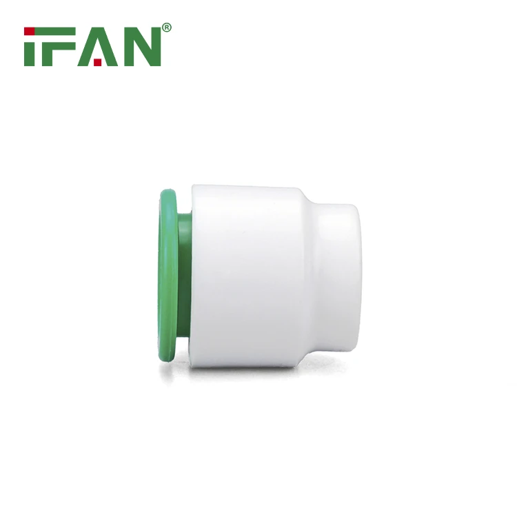 PPR fittings plug