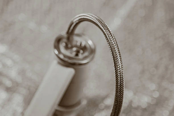 Stainless steel braided hoses